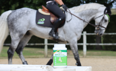 Audevard creates the evolution of joint support with Ekyflex Arthro EVO