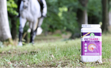 Discover triple enhanced gastric protection with Ekygard+