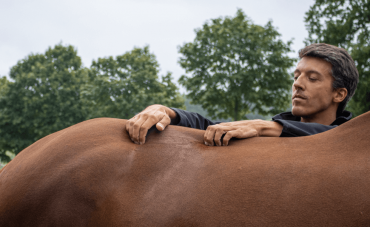 Audevard Trophy: In Equine Vets We Trust