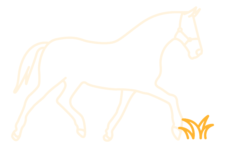 Cheval Senior