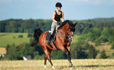 Comment savoir si les articulations de mon cheval sont trop sollicitées et comment les protéger ?